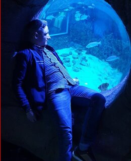 стен — фото 2